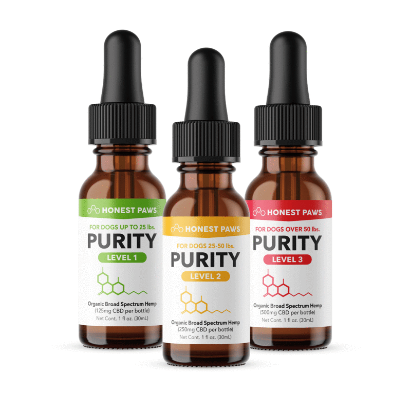 Honest Paws Affiliate Program